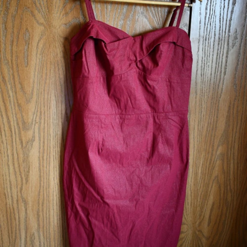 NWOT Sexy 🔥🔥 Dixiefried Wiggle Dress